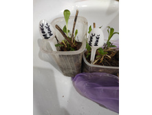 IMG 20210513 210158.jpg