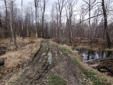 IMG 20210501 113752.jpg