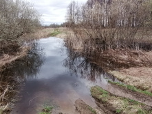 IMG 20210505 124005.jpg