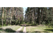 IMG 20210529 105959.jpg