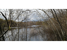 IMG 20210501 110905.jpg