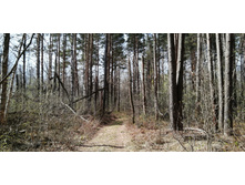 IMG 20210506 090554.jpg