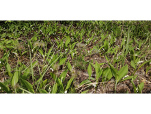 IMG 20210523 103506.jpg