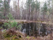 IMG 20210504 135950.jpg