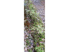 IMG 20210503 130451.jpg