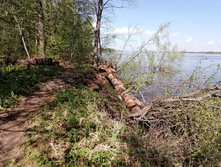 IMG 20210516 111722.jpg