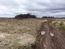 IMG 20210505 114424.jpg