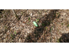 IMG 20210506 093942.jpg