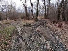 IMG 20210501 121527.jpg