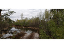 IMG 20210504 141318.jpg