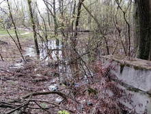 IMG 20210501 094213.jpg