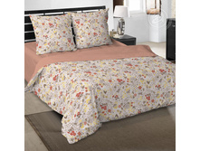 ������� ���� 220 �� ������+���������