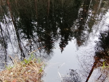 IMG 20210503 121303.jpg