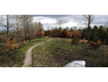 IMG 20210505 142355.jpg