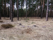 IMG 20210502 125323.jpg