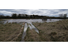 IMG 20210505 131220.jpg