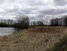 IMG 20210505 125433.jpg