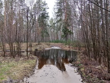 IMG 20210503 114722.jpg