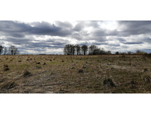 IMG 20210505 130451.jpg