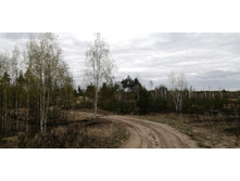 IMG 20210504 143757.jpg