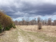 IMG 20210501 111500.jpg