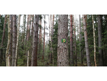 IMG 20210503 121849.jpg