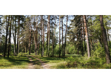 IMG 20210529 103209.jpg