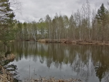 IMG 20210504 125704.jpg