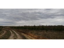 IMG 20210504 144604.jpg