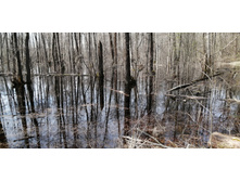 IMG 20210506 092922.jpg