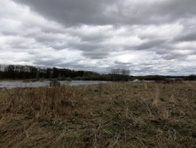 IMG 20210505 130337.jpg