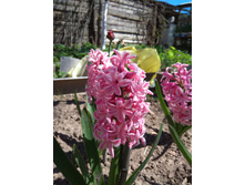 IMG 20180513 125856.jpg