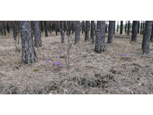 IMG 20210502 125822.jpg