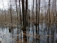 IMG 20210506 093008.jpg