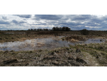 IMG 20210505 133646.jpg