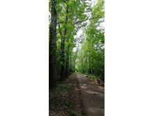 IMG 20210523 125919 1.jpg