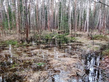 IMG 20210503 121045.jpg