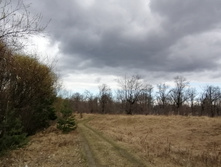 IMG 20210501 112112.jpg