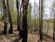 IMG 20210506 111824.jpg