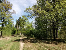 IMG 20210516 103341.jpg