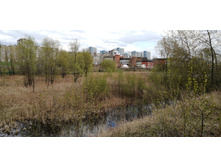 IMG 20210501 151032.jpg