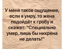 FB IMG 1620396171590.jpg