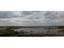 IMG 20210506 155810.jpg