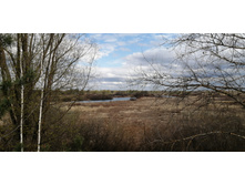 IMG 20210501 141051.jpg