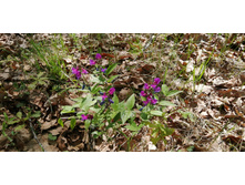 IMG 20210516 103950.jpg