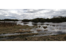 IMG 20210505 125945.jpg