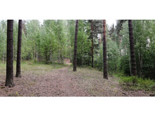 IMG 20210529 160803.jpg