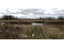 IMG 20210505 130658.jpg