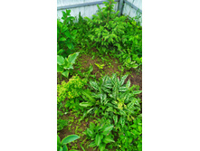 IMG 20210531 092636.jpg