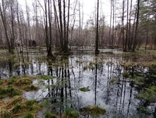 IMG 20210503 135626.jpg